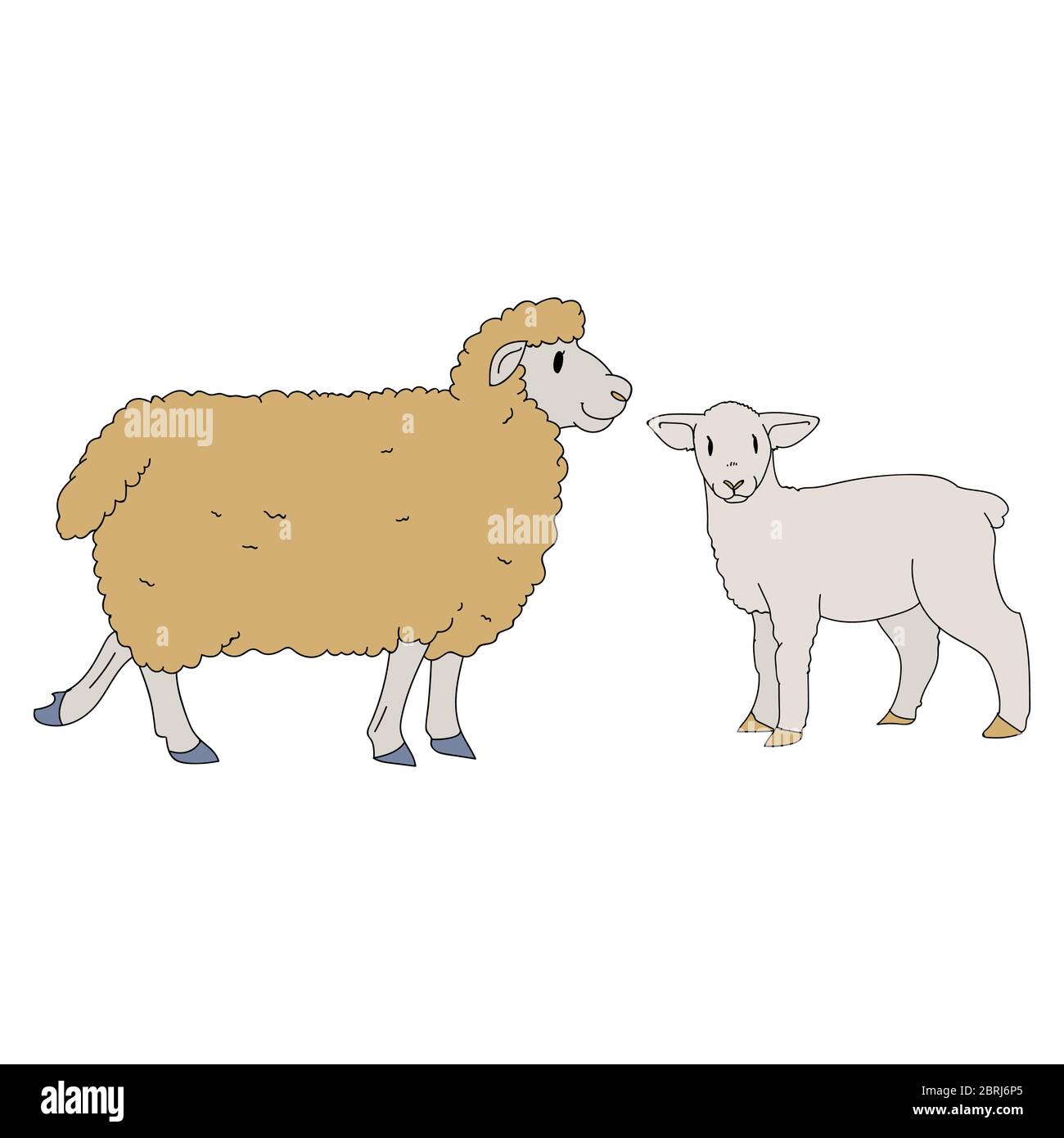 Cute french farmhouse sheep and lamb vector clipart. Hand drawn shabby chic  style country farm kitchen. Illustration of mutton farm animal livestock  Stock Vector Image & Art - Alamy
