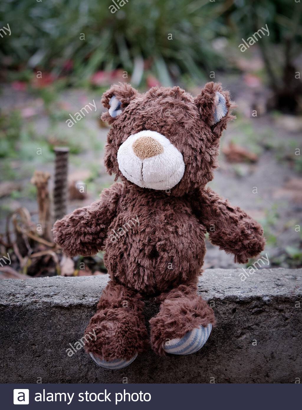 teddy bear without fur