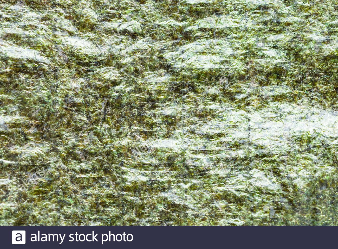 seaweed used in japanese cuisine