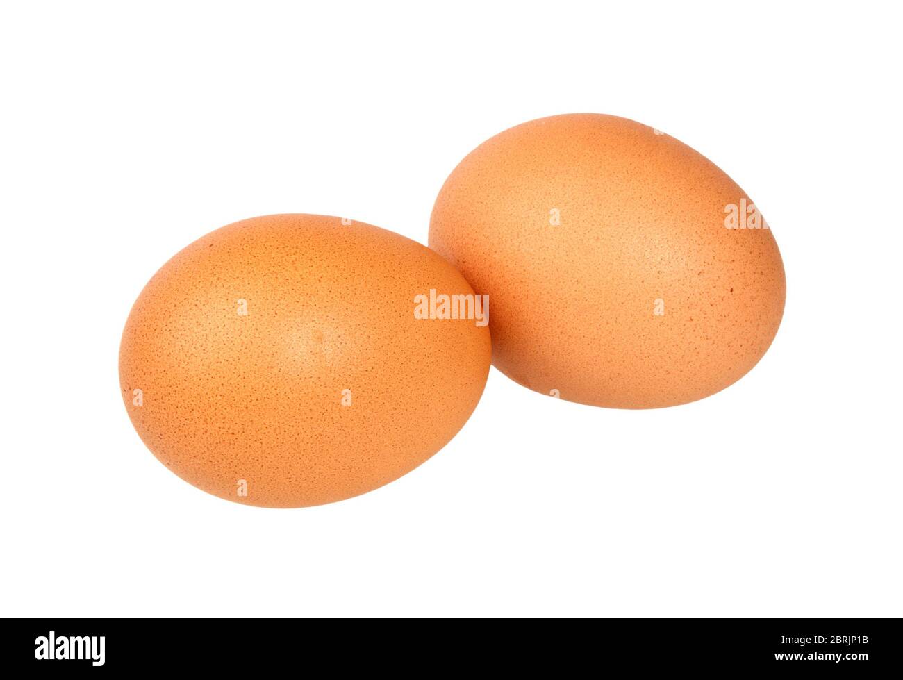 Chicken eggs isolated on white background. Brown Eggs close up. Stock Photo