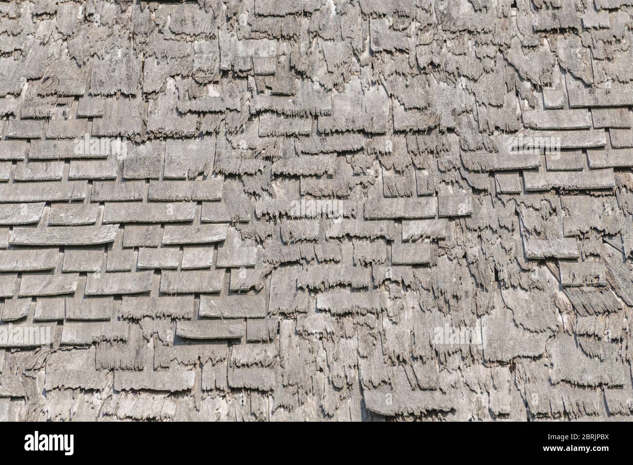 Badly decaying and rotting wooden shingle roof /shingle roof tiles ...