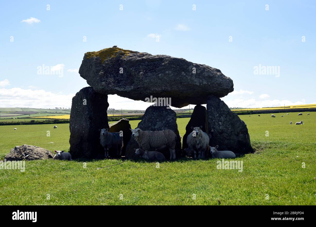 Carreg Samson, Neolithic Dolmen,Standing stones, ancient burial site, Abercastle, Pembrokeshire, Wales, UK Stock Photo