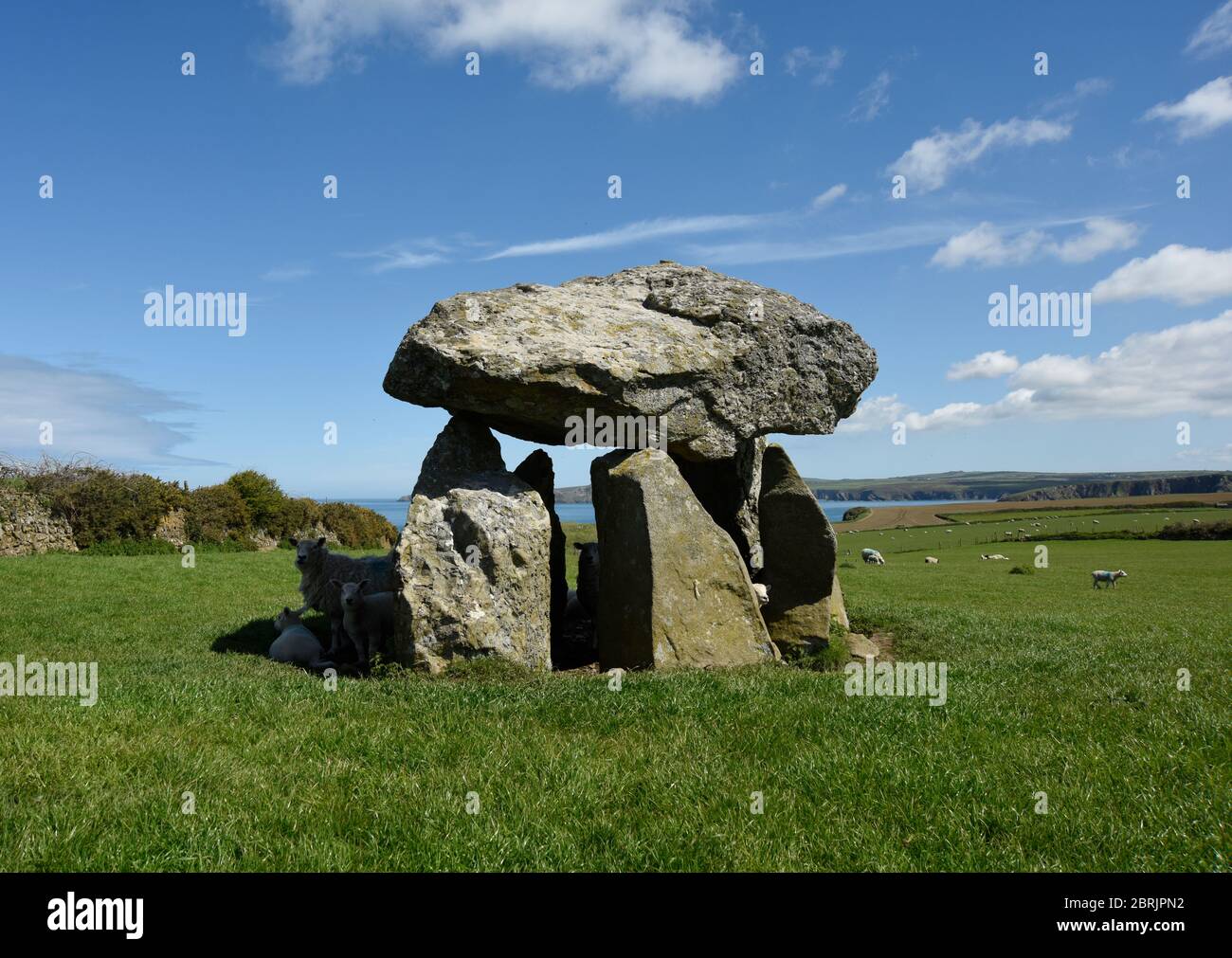 Carreg Samson, Neolithic Dolmen,Standing stones, ancient burial site, Abercastle, Pembrokeshire, Wales, UK Stock Photo