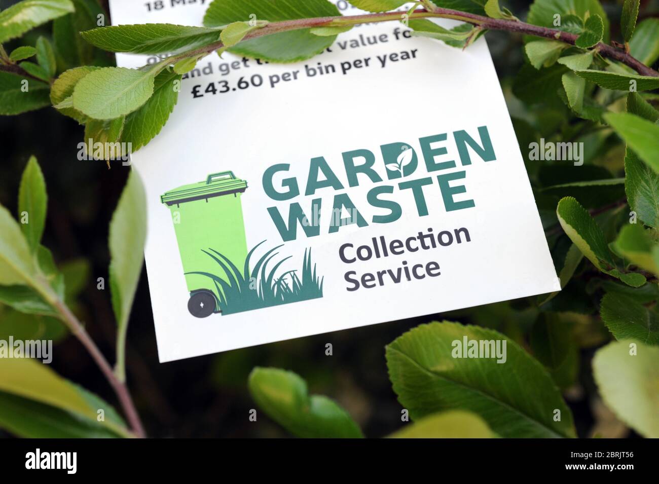 LOCAL COUNCIL GARDEN WASTE LEAFLET CONCERNING DOMESTIC GARDEN WASTE COLLECTION CHARGES RE COUNCIL TAX GARDENING GARDENERS COST PAYMENT ETC  UK Stock Photo