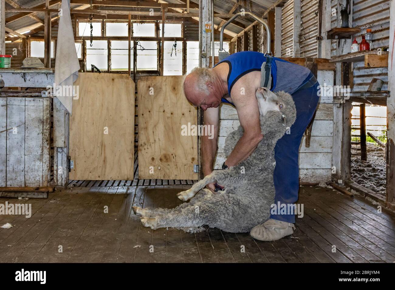 Kangaroo Island, Australia March 9th, 2020 A farmer starting