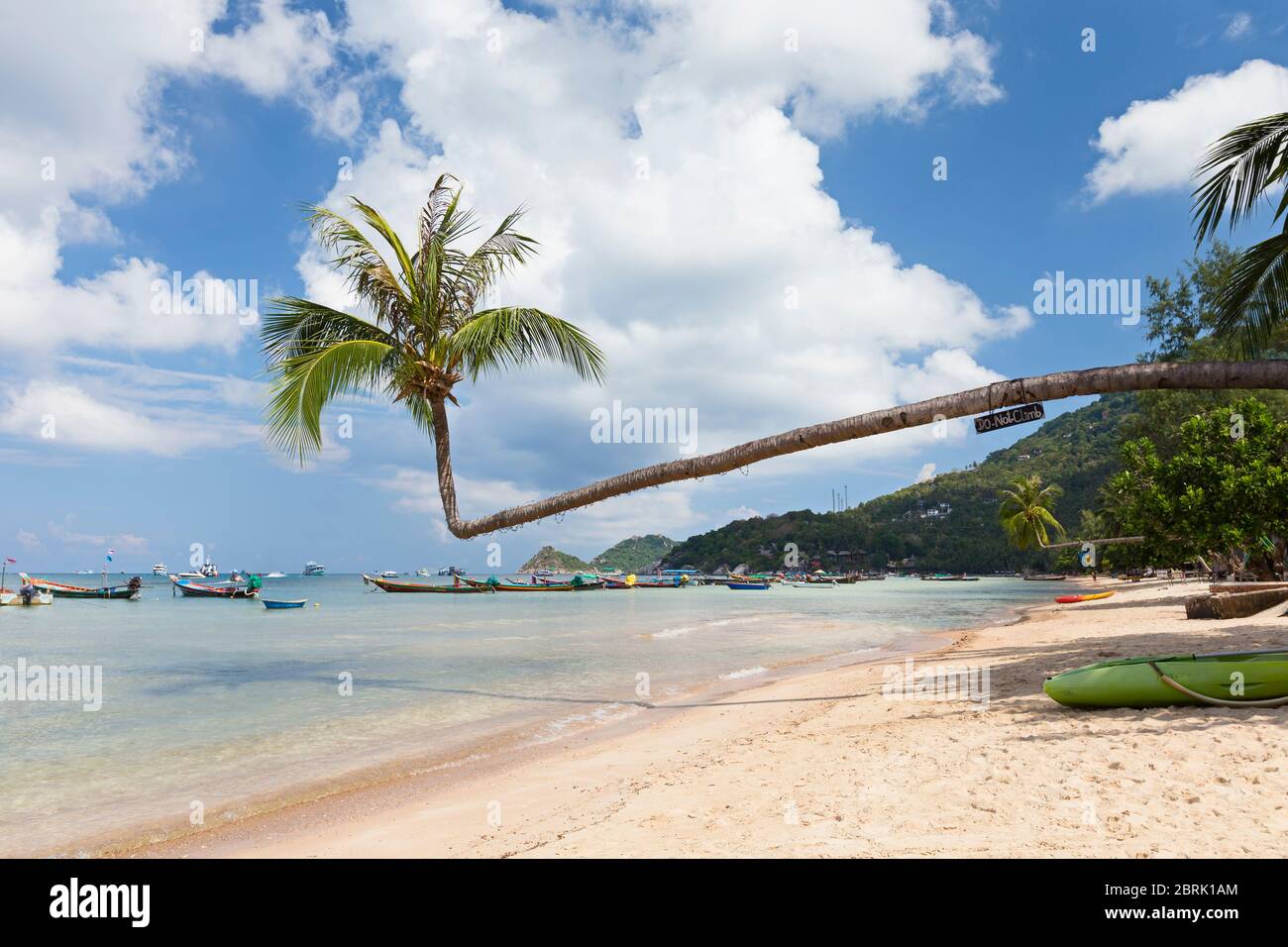 Bending Tree On Sairee Beach Koh Tao Thailand Stock Photo Alamy