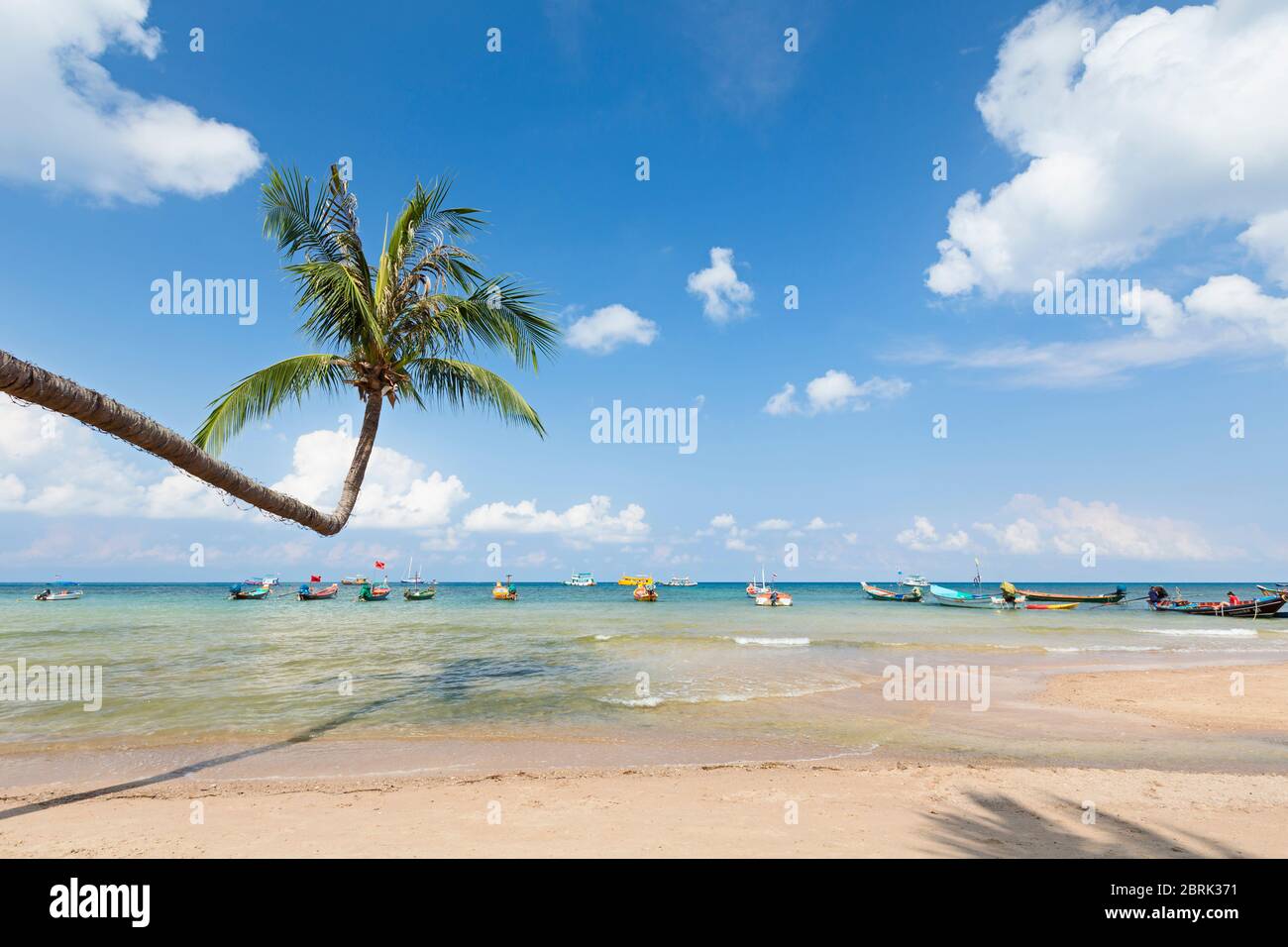 Bending Tree On Sairee Beach Koh Tao Thailand Stock Photo Alamy