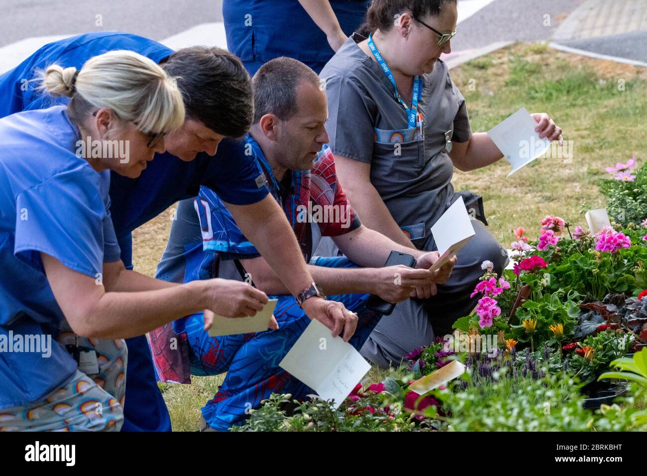 Brentwood Essex 21st May 2020 Clap for NHS at Brentwood Commuity hosptial, currently a covid facility. Local residents had purchased over 120 plants for the staff for their gardens. Another resident of the road had made 'superhero' scrubs for staff some of whom are pictured NHS staff read cards that came with the plants from local residents Credit: Ian Davidson/Alamy Live News Stock Photo