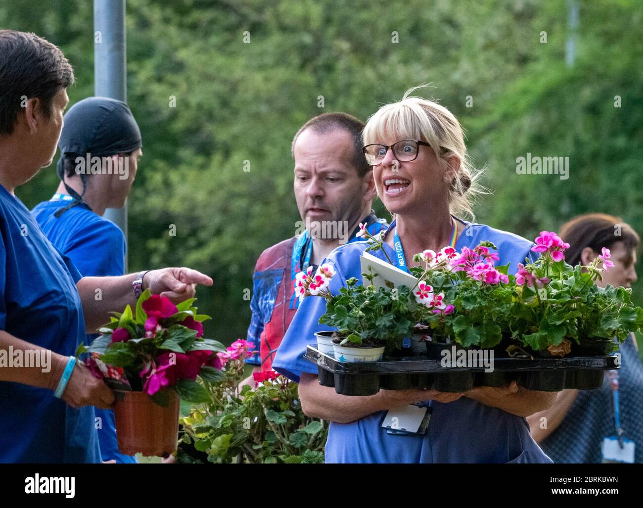 Brentwood Essex 21st May 2020 Clap for NHS at Brentwood Commuity hosptial, currently a covid facility. Local residents had purchased over 120 plants for the staff for their gardens. Another resident of the road had made 'superhero' scrubs for staff some of whom are pictured NHS workers with plants from local residents Credit: Ian Davidson/Alamy Live News Stock Photo