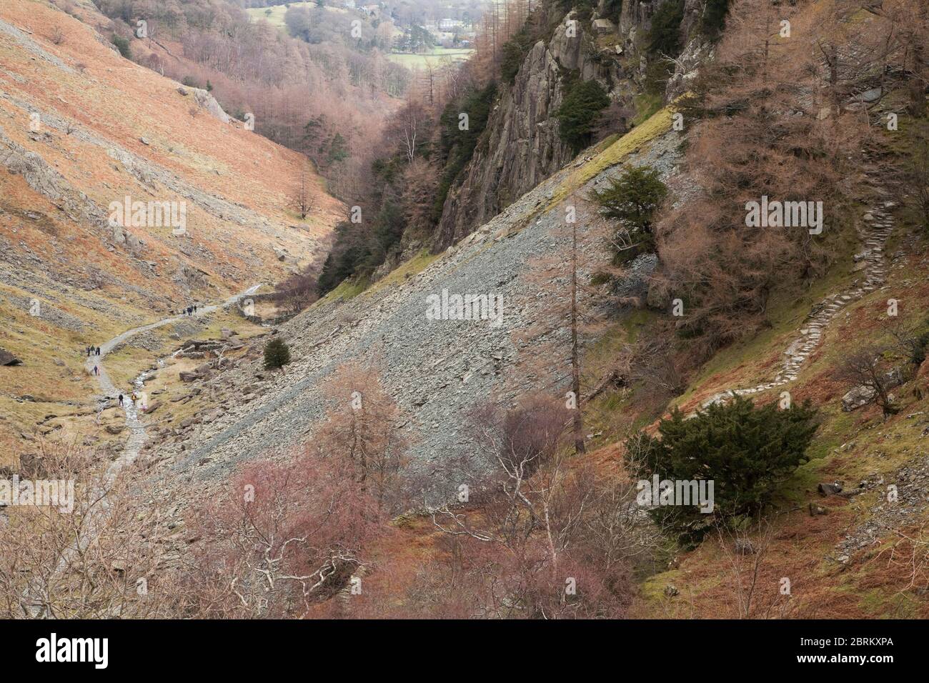 The Allerdale Ramble path as it passes Castle Crag, Lake District, UK Stock Photo