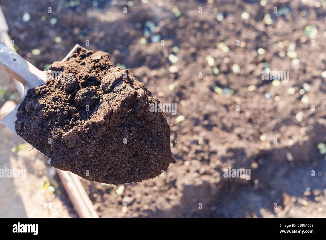 Farmer digging spade hand tool hi-res stock photography and images - Alamy