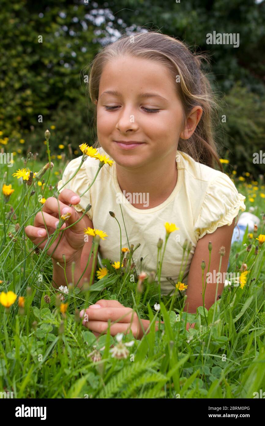 Maechen liegt in einer Wiese und betrachtet Blumen, MR: YES Stock Photo