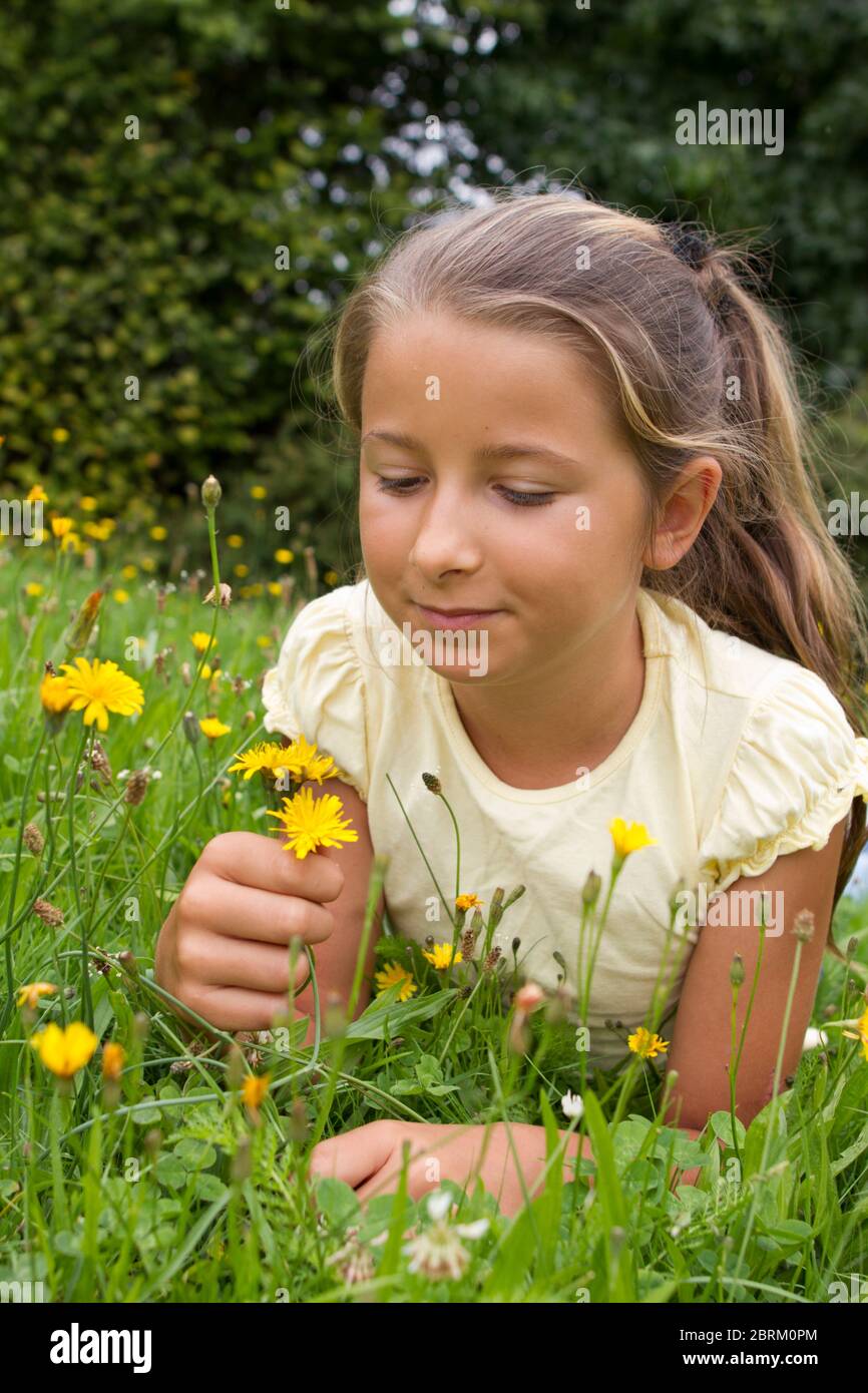 Maechen liegt in einer Wiese und betrachtet Blumen, MR: YES Stock Photo