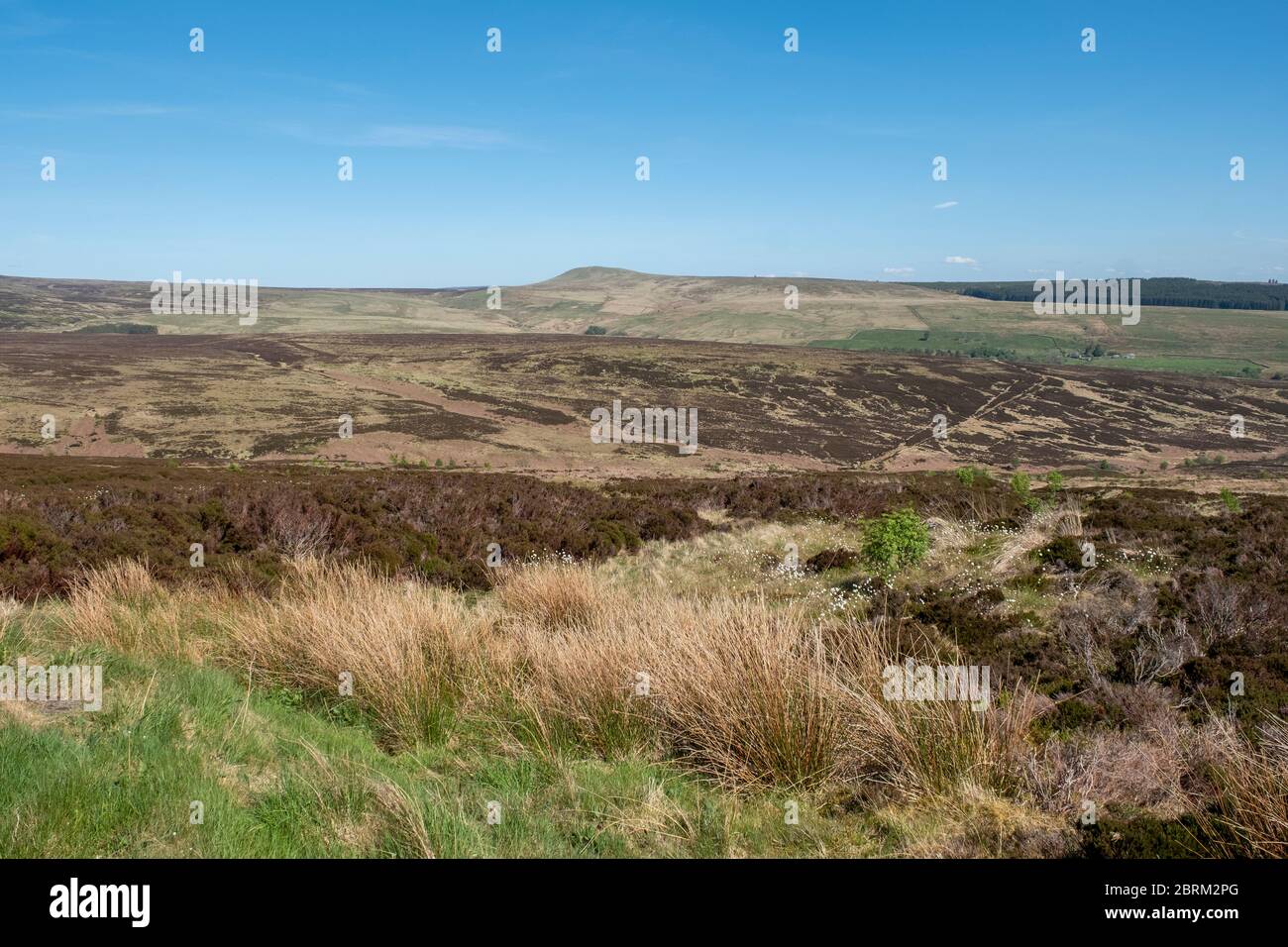 Langholm Moor A community buyout has been set up and hopes to purchase
