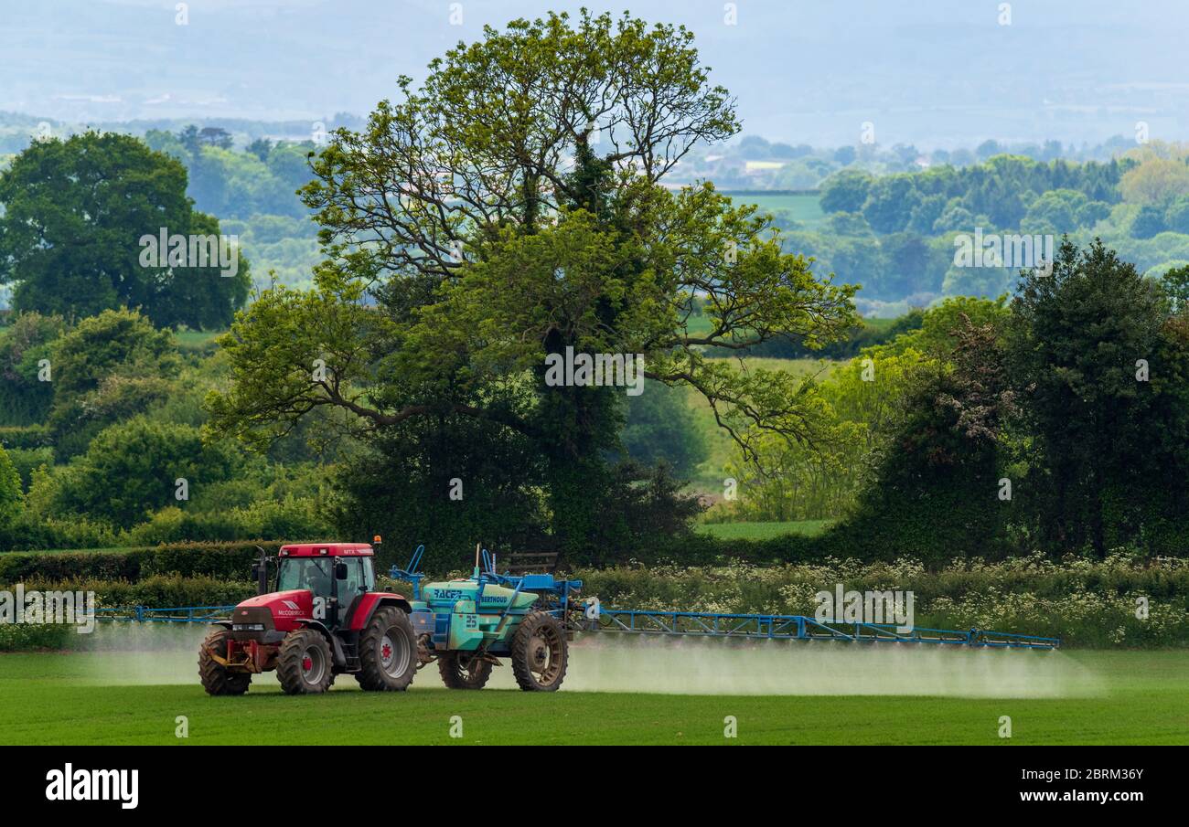 A red tractor tows a spraying trailer across a field in rural Shropshire, England Stock Photo