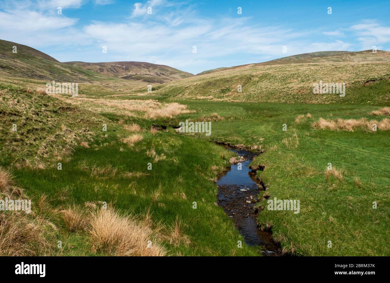 Tarras Valley, part of the Langholm Moor community buyout to purchase