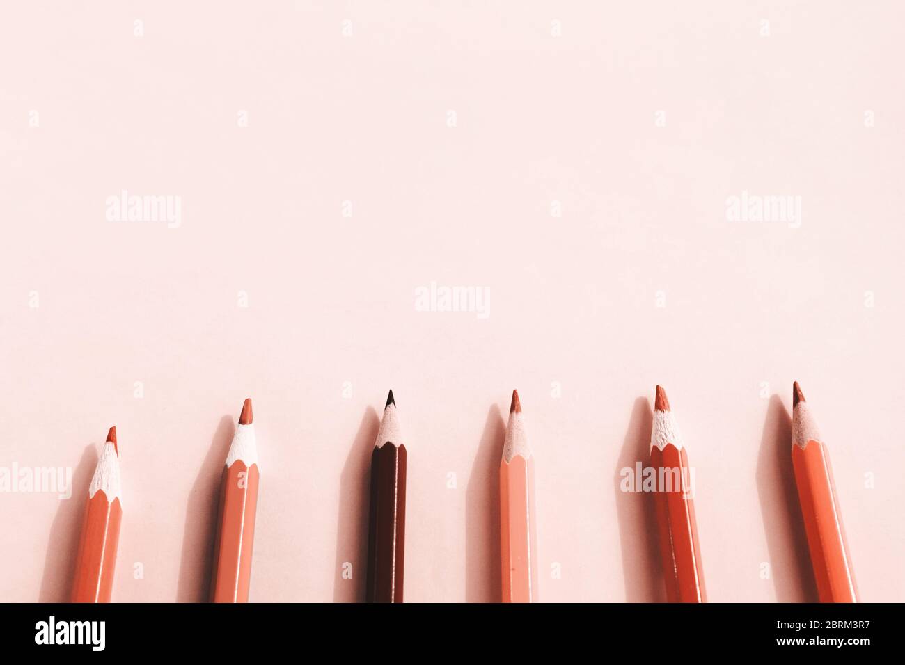 Background of pastel pink pencils on pink background. Back to school, education and learning concept. Minimalist isometric concept. Stock Photo