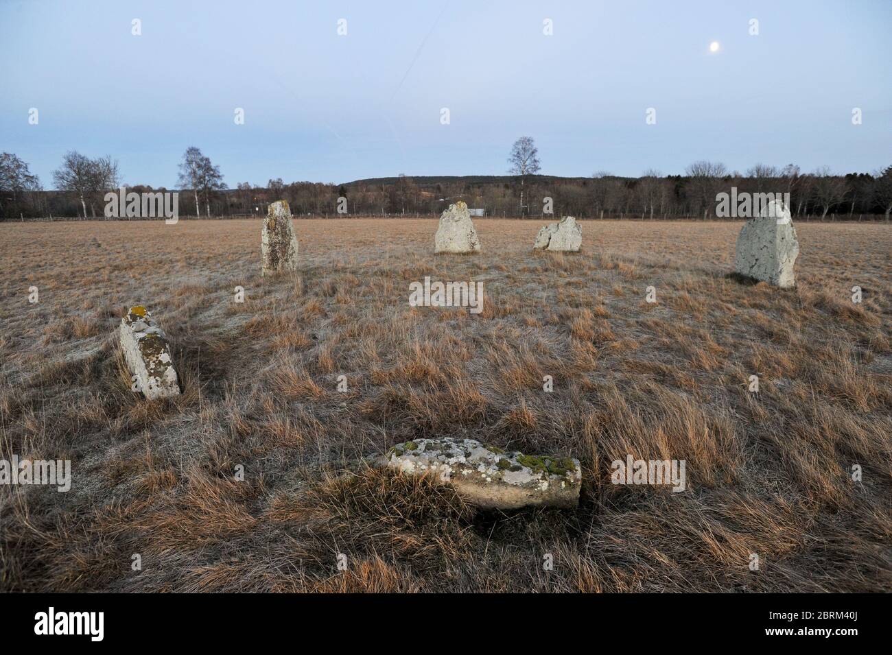 Iron Age stone circle in Ekornavallen ancient burial ground from Neolithic, Bronze Age and Iron Age (3300 BC to 500 BC) in Broddetorp, Västra Götaland Stock Photo