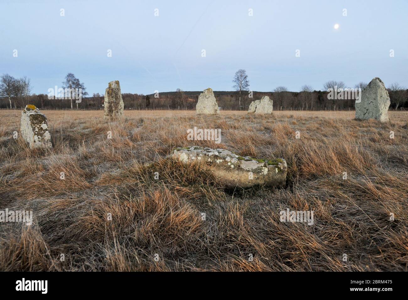 Iron Age stone circle in Ekornavallen ancient burial ground from Neolithic, Bronze Age and Iron Age (3300 BC to 500 BC) in Broddetorp, Västra Götaland Stock Photo