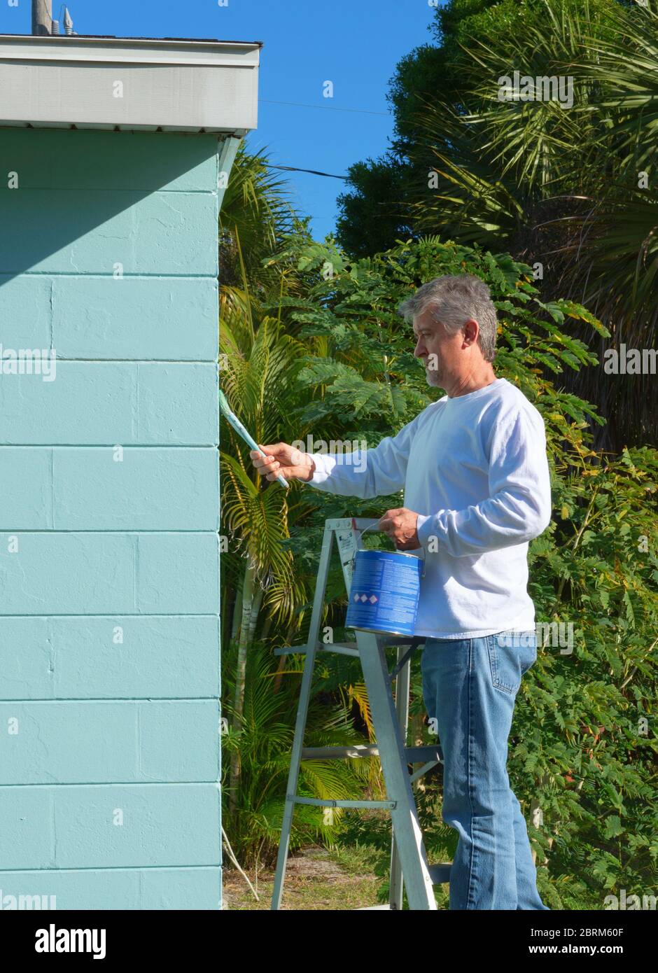 Middle aged professional painter or homeowner man on a ladder with a can of paint and brush painting brushing the exterior of a residential block hous Stock Photo