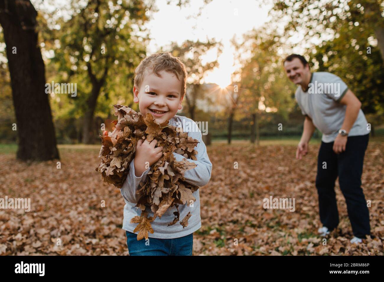 Young boy collecting autumn leaves with father. Cute child clasping an armful of dry brown leaves and smiling towards the camera with his father. Stock Photo