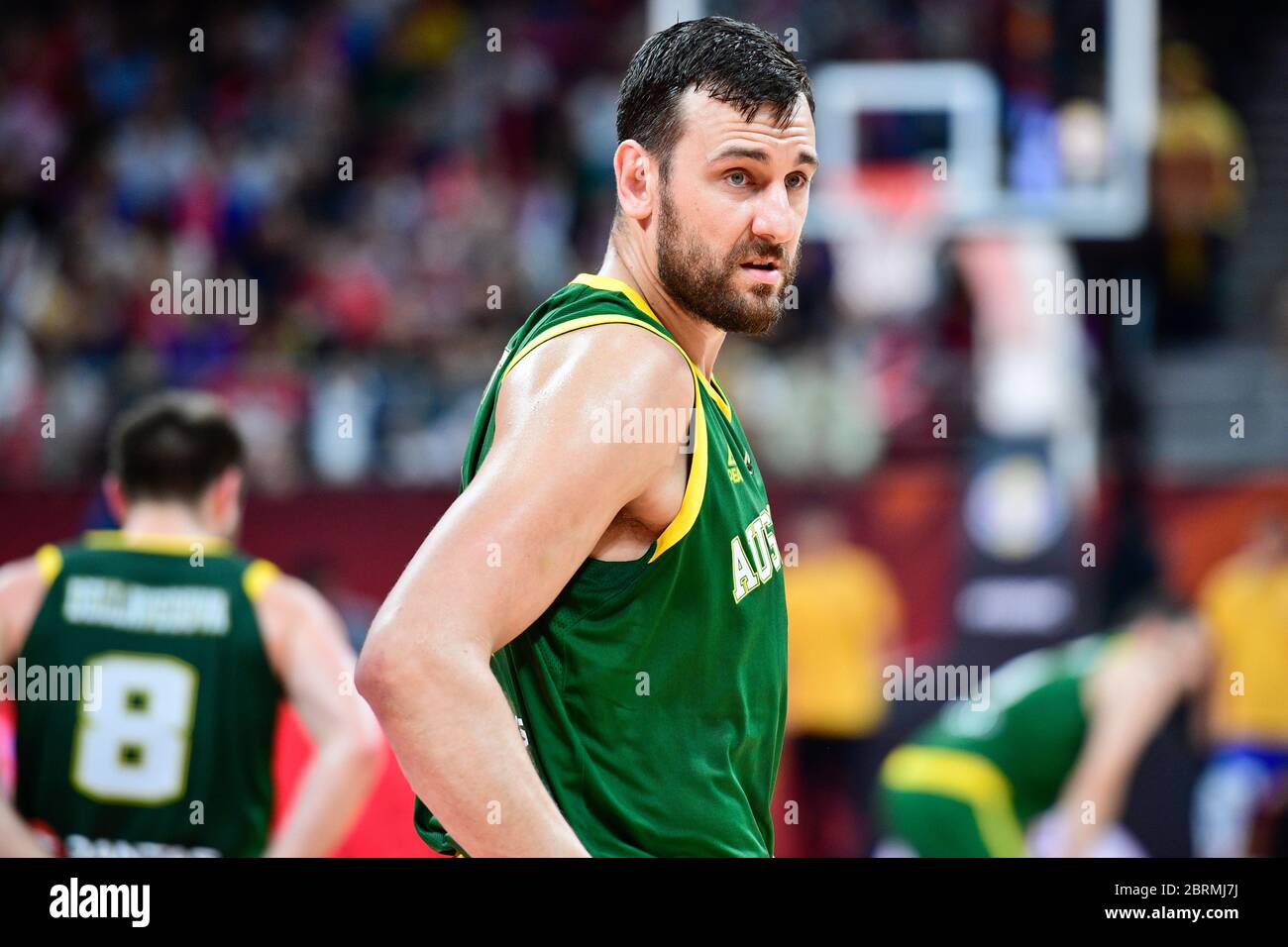 Bogut 2024 australia jersey