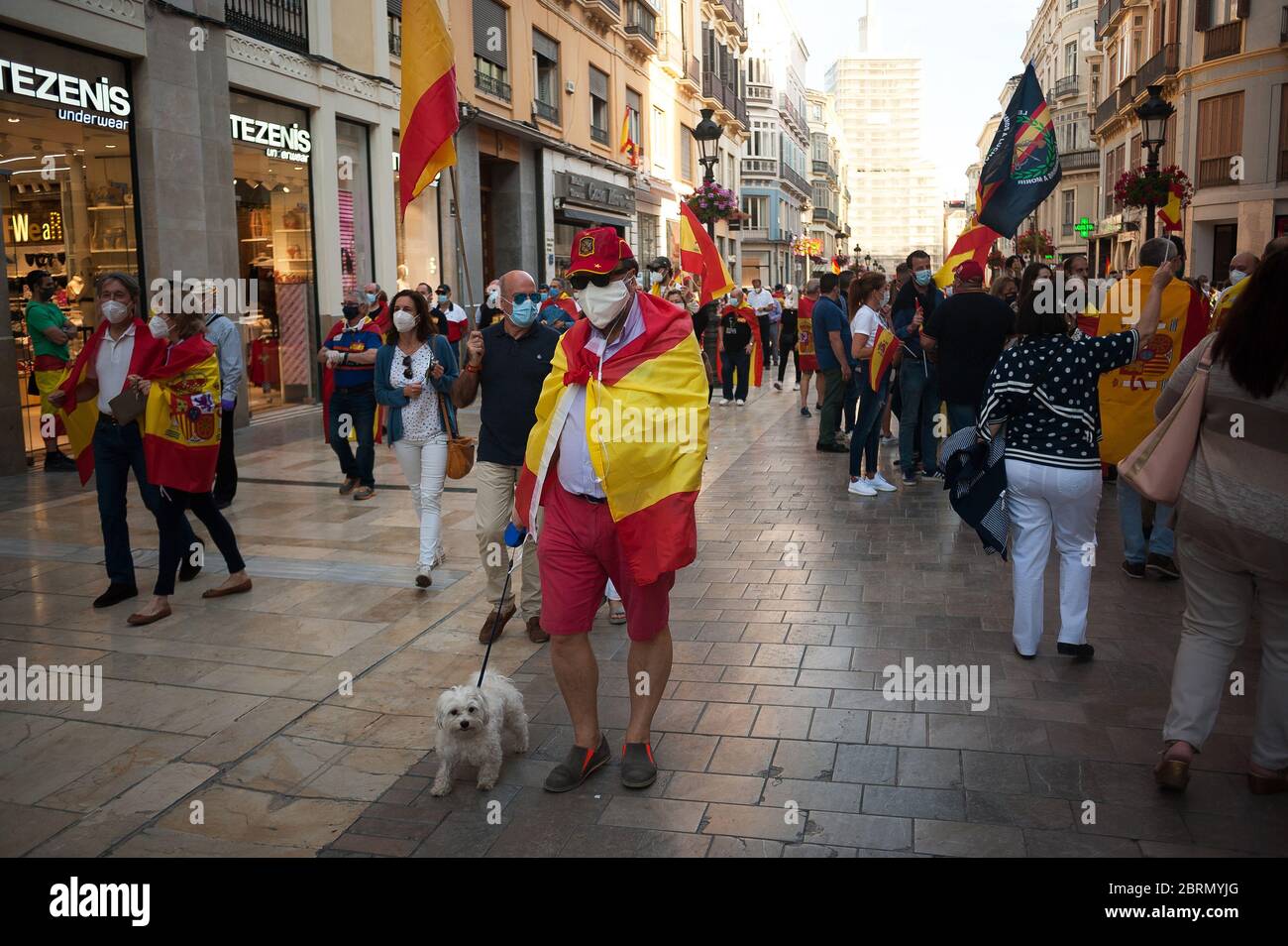 A man wrapped with a Spanish walks with his dog as he takes part during the demonstration.Several Spaniards have protested against the Spanish government and public management of the Covid - 19 crisis. The far-right party VOX demand the end of confinement and state of emergency because they consider that limit their rights and all Spaniards. Stock Photo