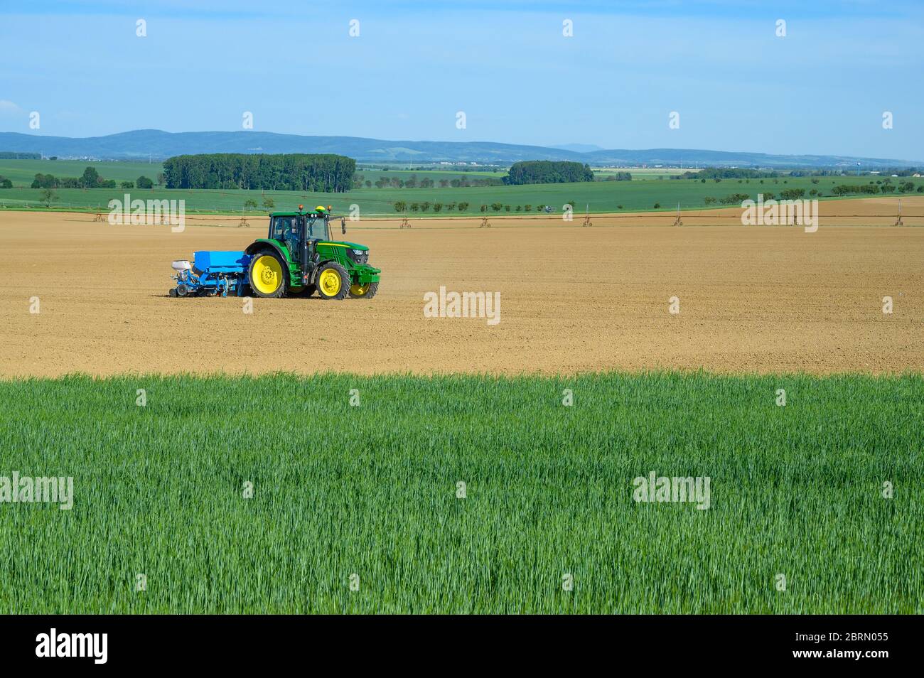 Tractor sowing crops at grain field, blue sky Stock Photo