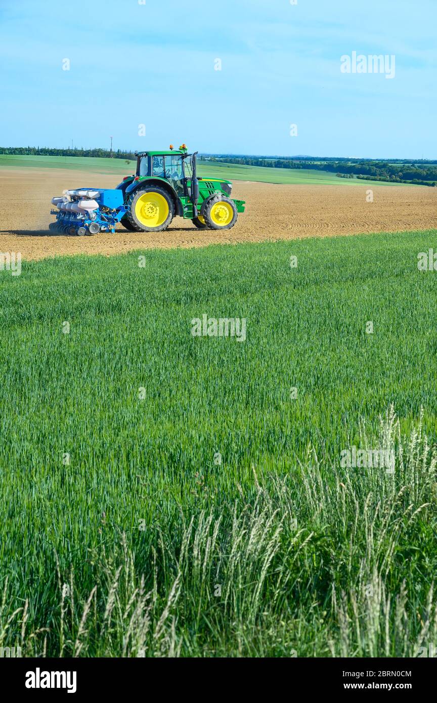 Tractor sowing crops at grain field, blue sky Stock Photo