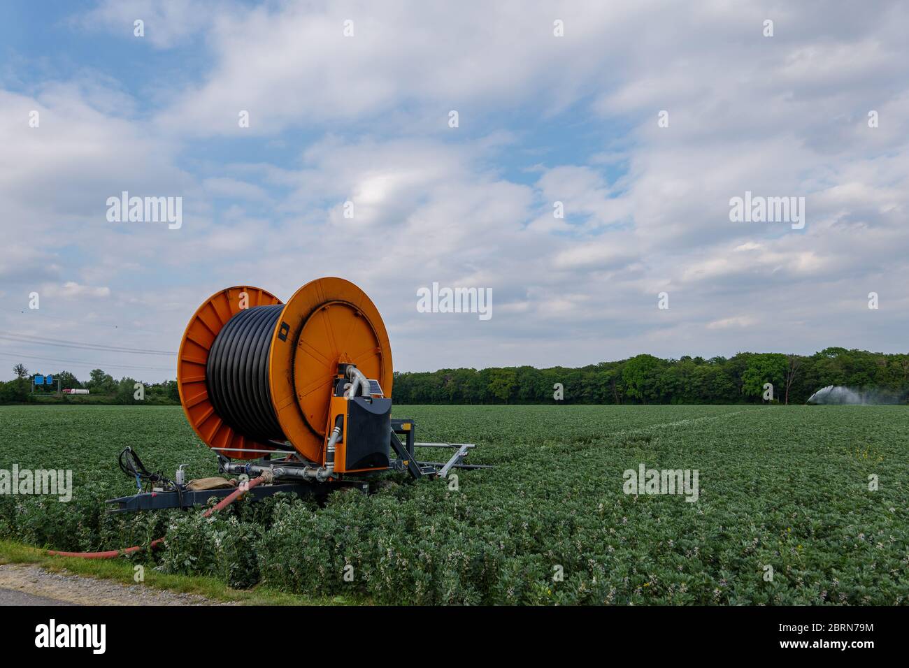 Water hose reel system hi-res stock photography and images - Alamy