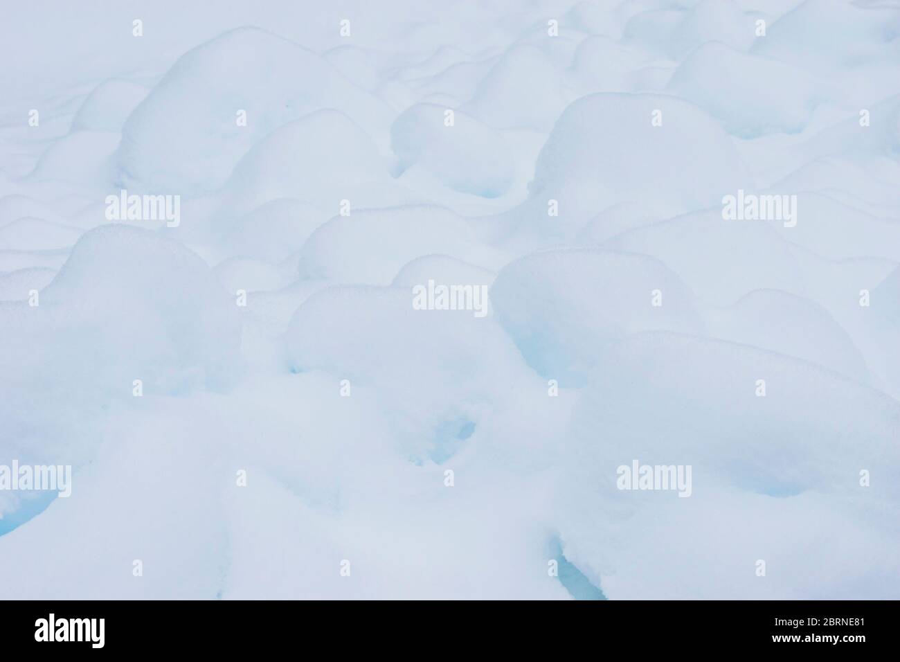 snow surface  background,ready for product display montage. Stock Photo