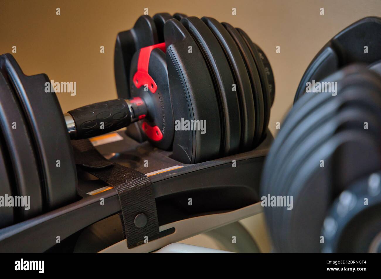 Dumbbells sitting on rack. Adjustable bowflex weights on stand Stock ...