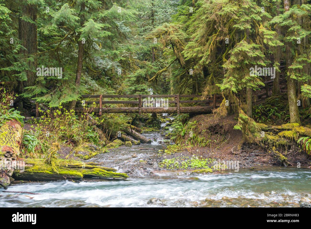 Olympic wilderness hires stock photography and images Alamy