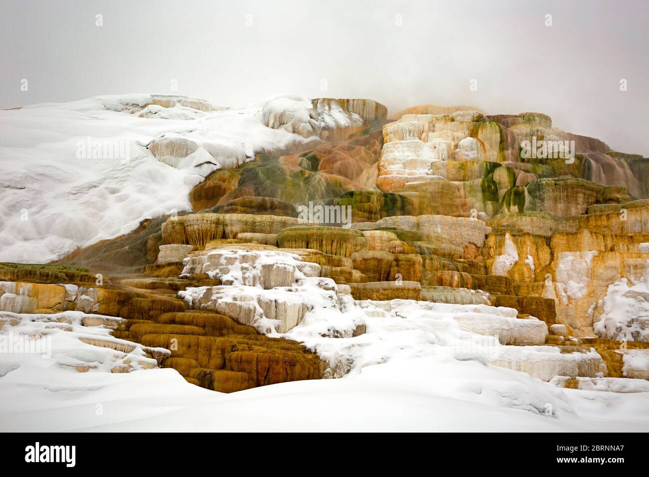 WY0457900...WYOMING Mound and Juniper Hot Springs, part of the