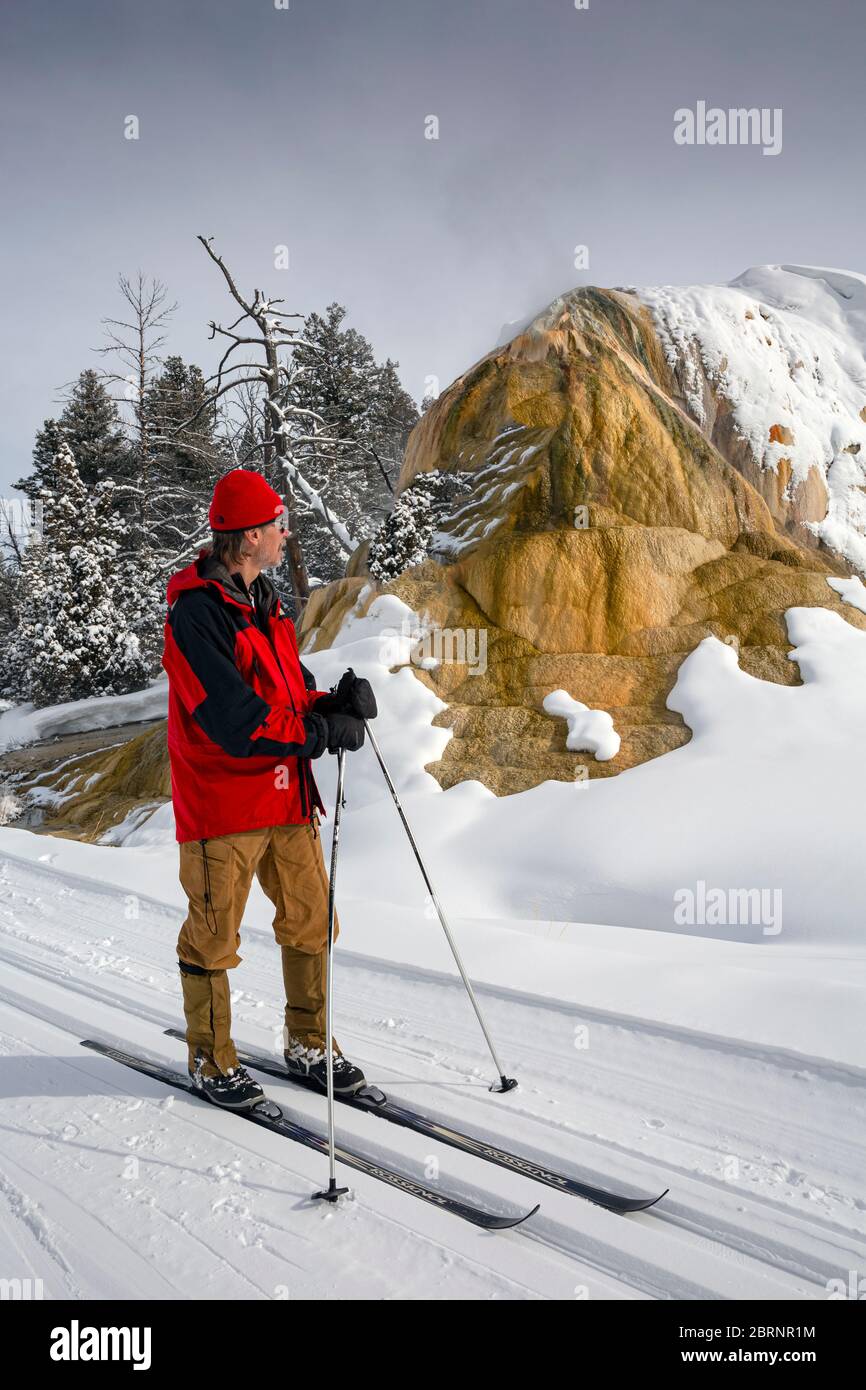 WY04601-00....WYOMING - Winter visitor on the Upper Terrace groomed cross-country ski trail at Mammoth Hot Spring in Yellowstone National Park. Stock Photo