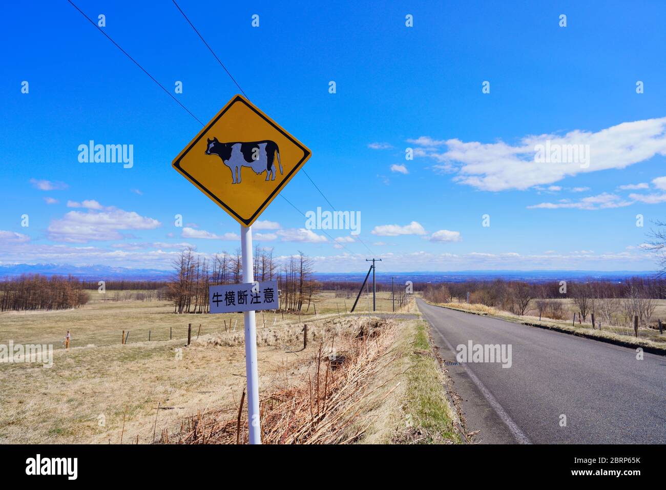 Cow road sign hi-res stock photography and images - Alamy