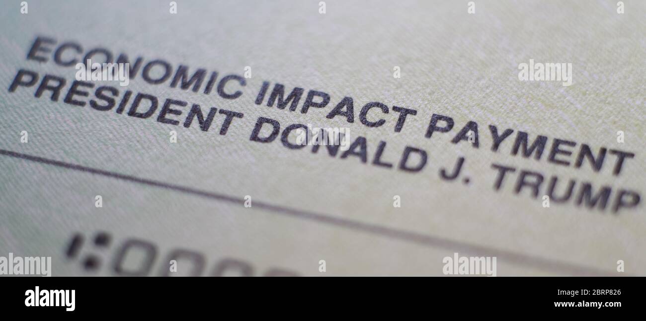 Text on the Economic Impact Payment (relief from COVID19 pandemic