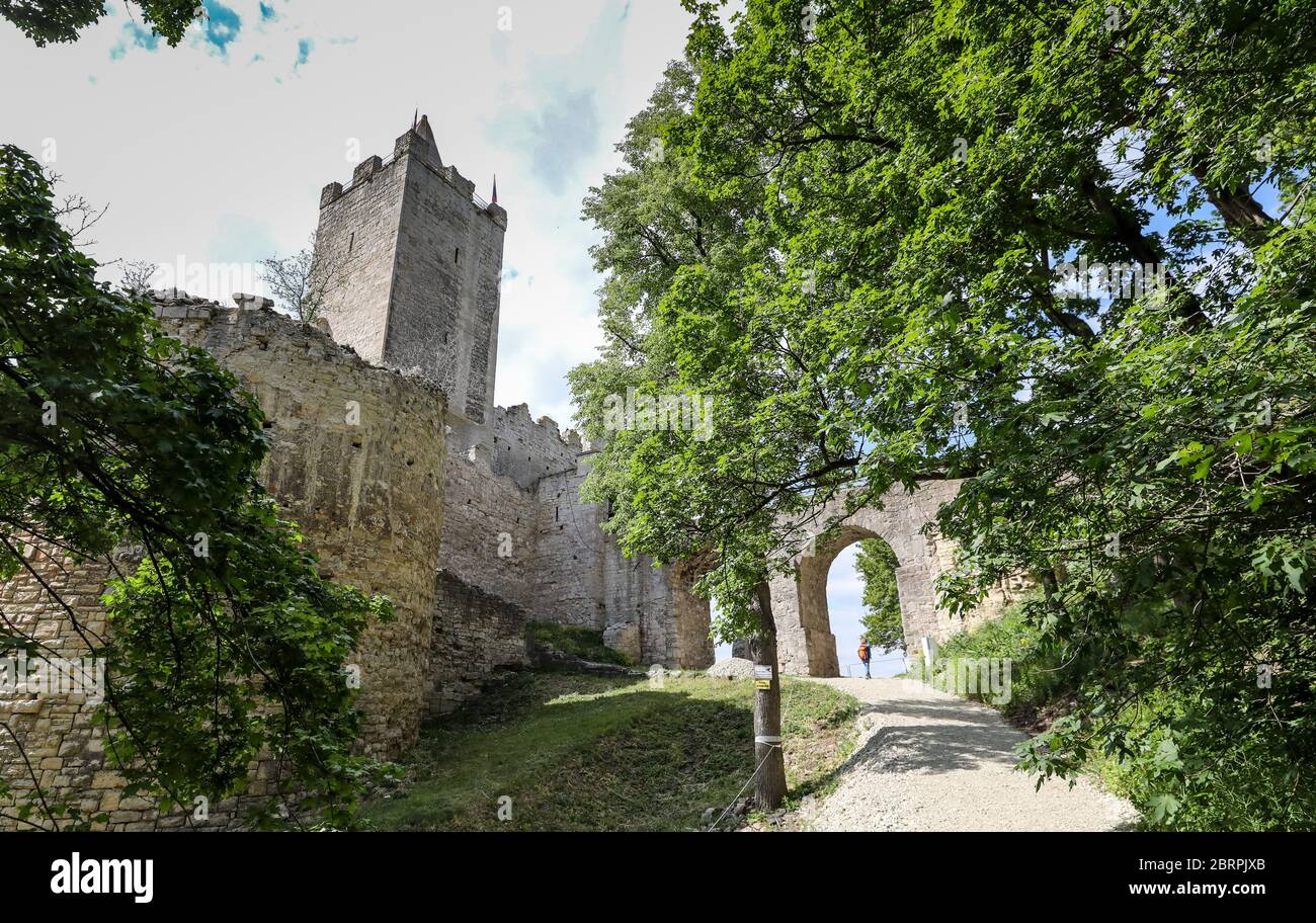 15 May 2020, Saxony-Anhalt, Bad Kösen: View of the Rudelsburg. The castle ruins and the neighbouring Saaleck Castle, picturesquely situated above the river Saale, are popular excursion destinations in Saxony-Anhalt. Photo: Jan Woitas/dpa-Zentralbild/ZB Stock Photo