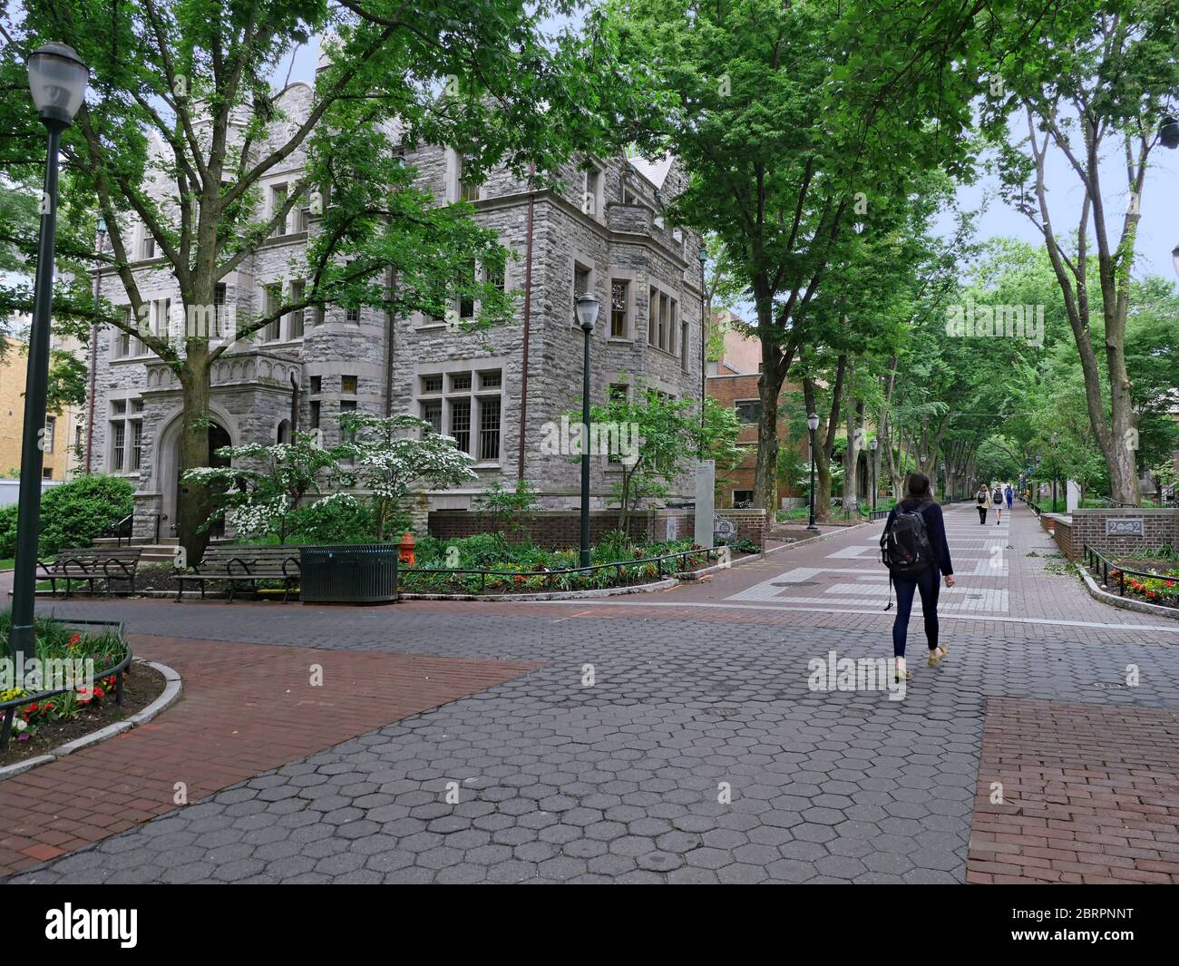 The University of Pennsylvania campus is very green and shady, as seen in this view along Locust Walk. Stock Photo