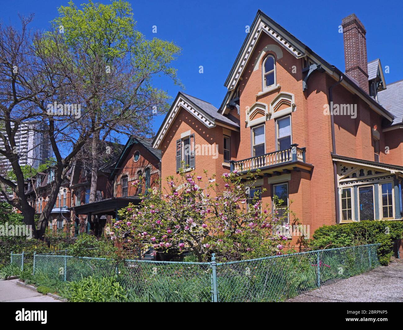 Victorian gothic style houses with magnolia tree in bloom Stock Photo