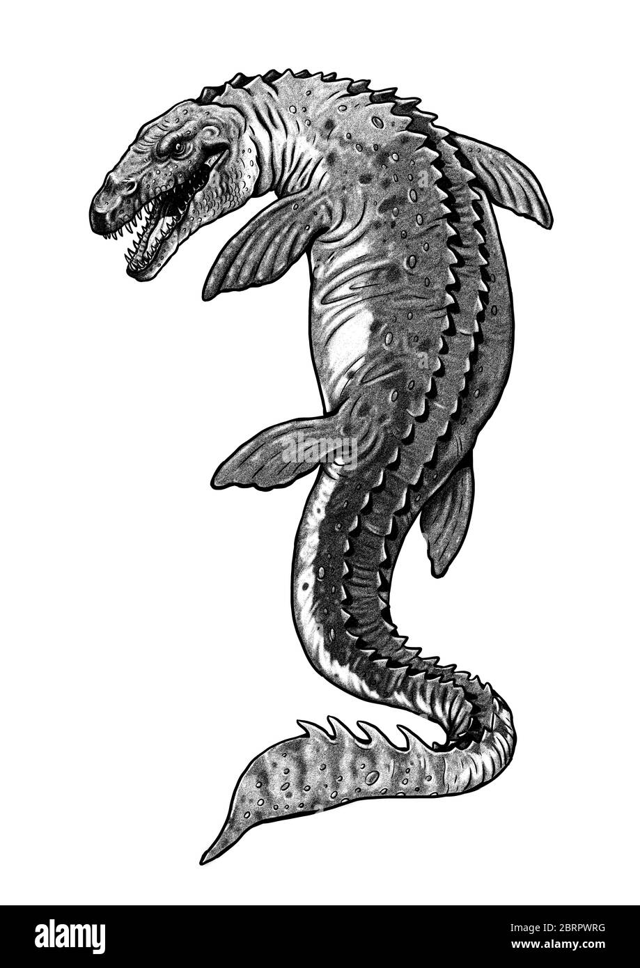 Featured image of post Mosasaurus Water Dinosaur Coloring Pages This article is about the genus mosasaurus not to be confused with the mosasaurs the family with the same name to which mosasaurus belongs to