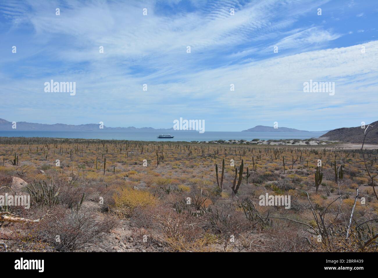 Coastal desert landscape in a remote stretch south of Loreto in Baja