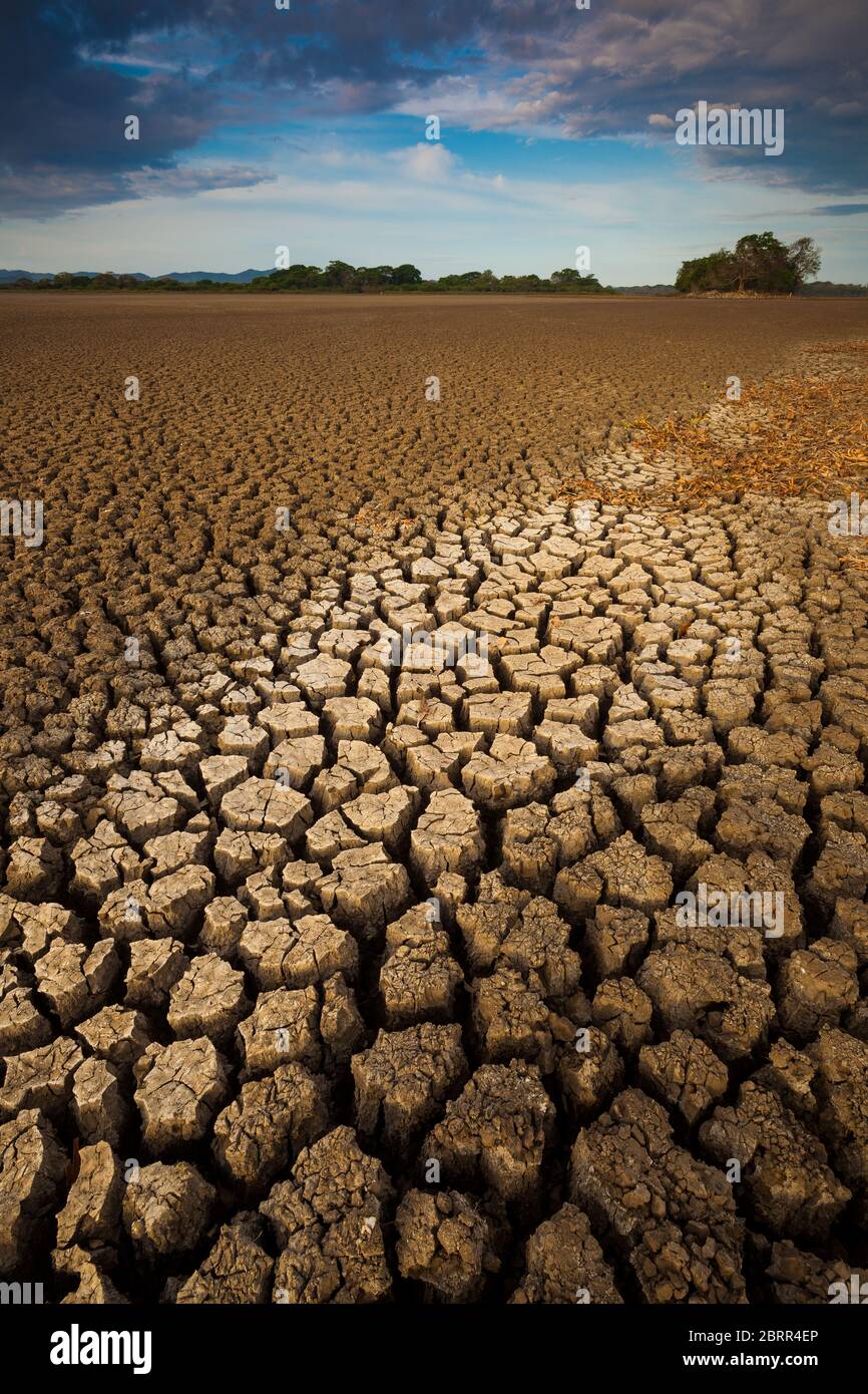 Drought in the lake of Cienaga de las Macanas, El Rincon, Herrera province, Republic of Panama. Stock Photo