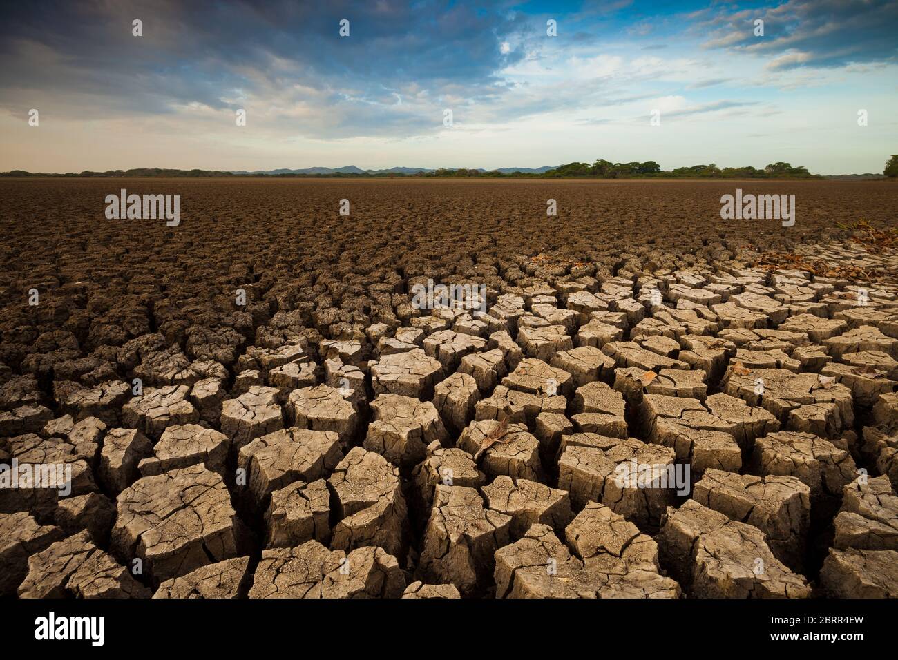 Drought in the lake of Cienaga de las Macanas, El Rincon, Herrera province, Republic of Panama. Stock Photo