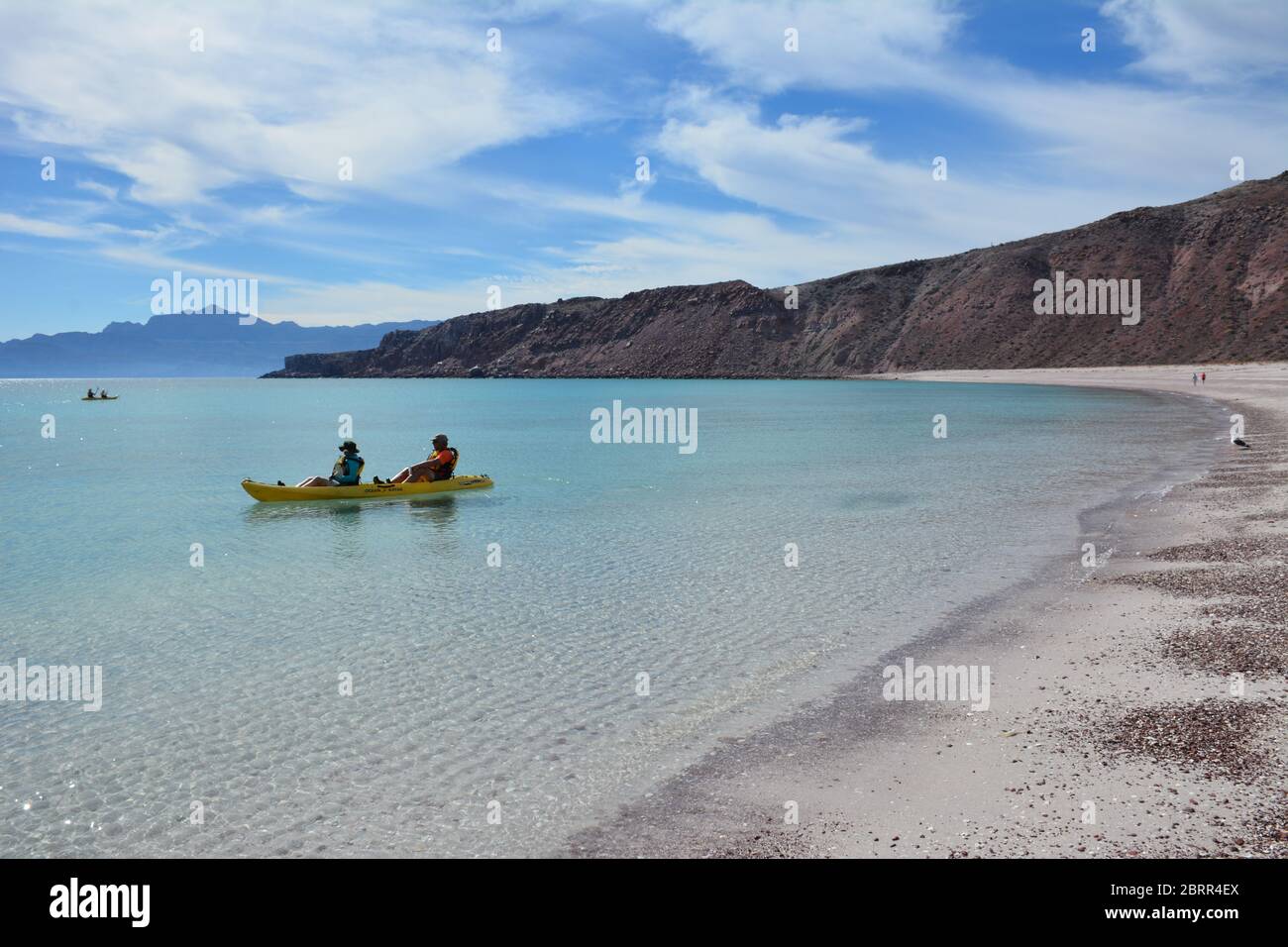 Active cruise tourists kayak in clear water off a beach on Isla San Francisco, Sea of Cortez, Baja California Sur, Mexico. Stock Photo