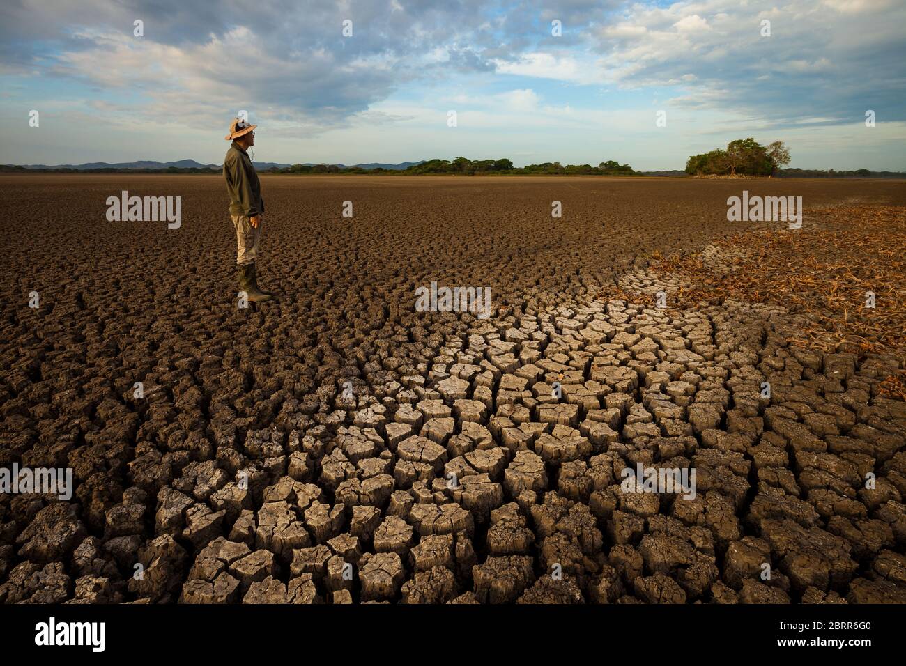 Drought in the lake of Cienaga de las Macanas, El Rincon, Herrera province, Republic of Panama. Stock Photo