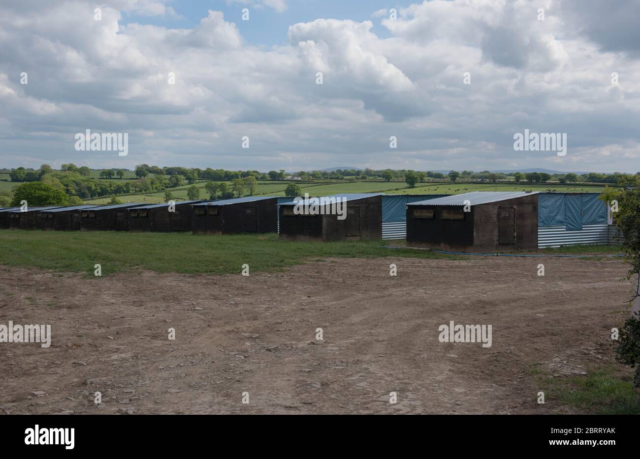 Wooden Sheds for Rearing Game Birds on a Farm with a Panoramic View and Cloudy Blue Sky in Rural Devon, England, UK Stock Photo