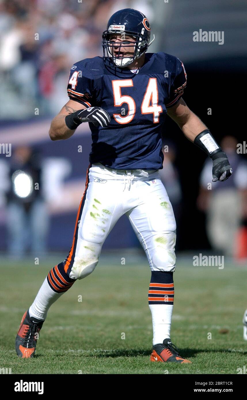 Chicago Bears linebacker Brian Urlacher (54) and quarterback Jay