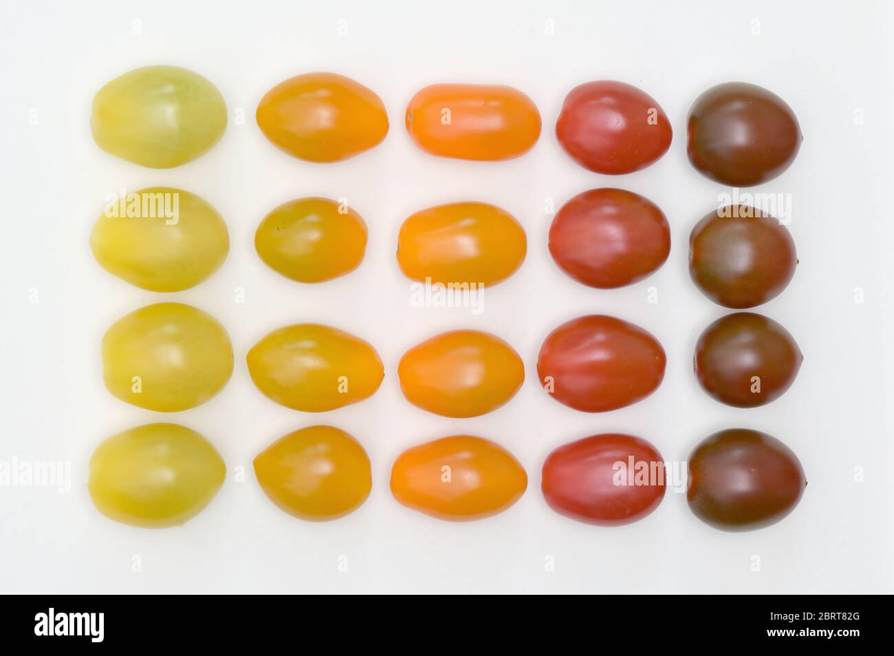 Conceptual Gradient Various Colorful Cherry Tomatoes Stock Photo