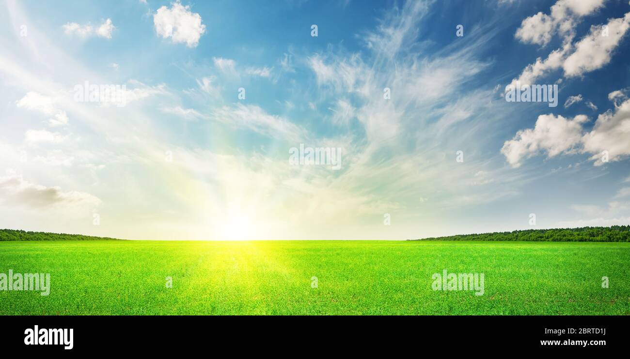Green grass field and blue sky summer landscape background Stock Photo ...